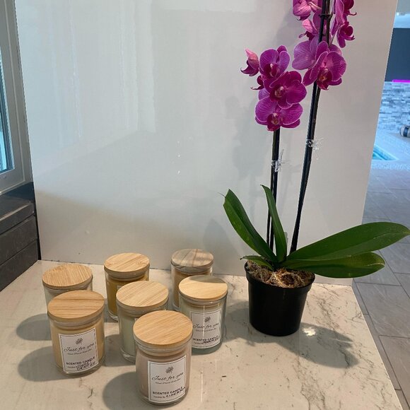 Varinia gugliotella Other - Home made candles